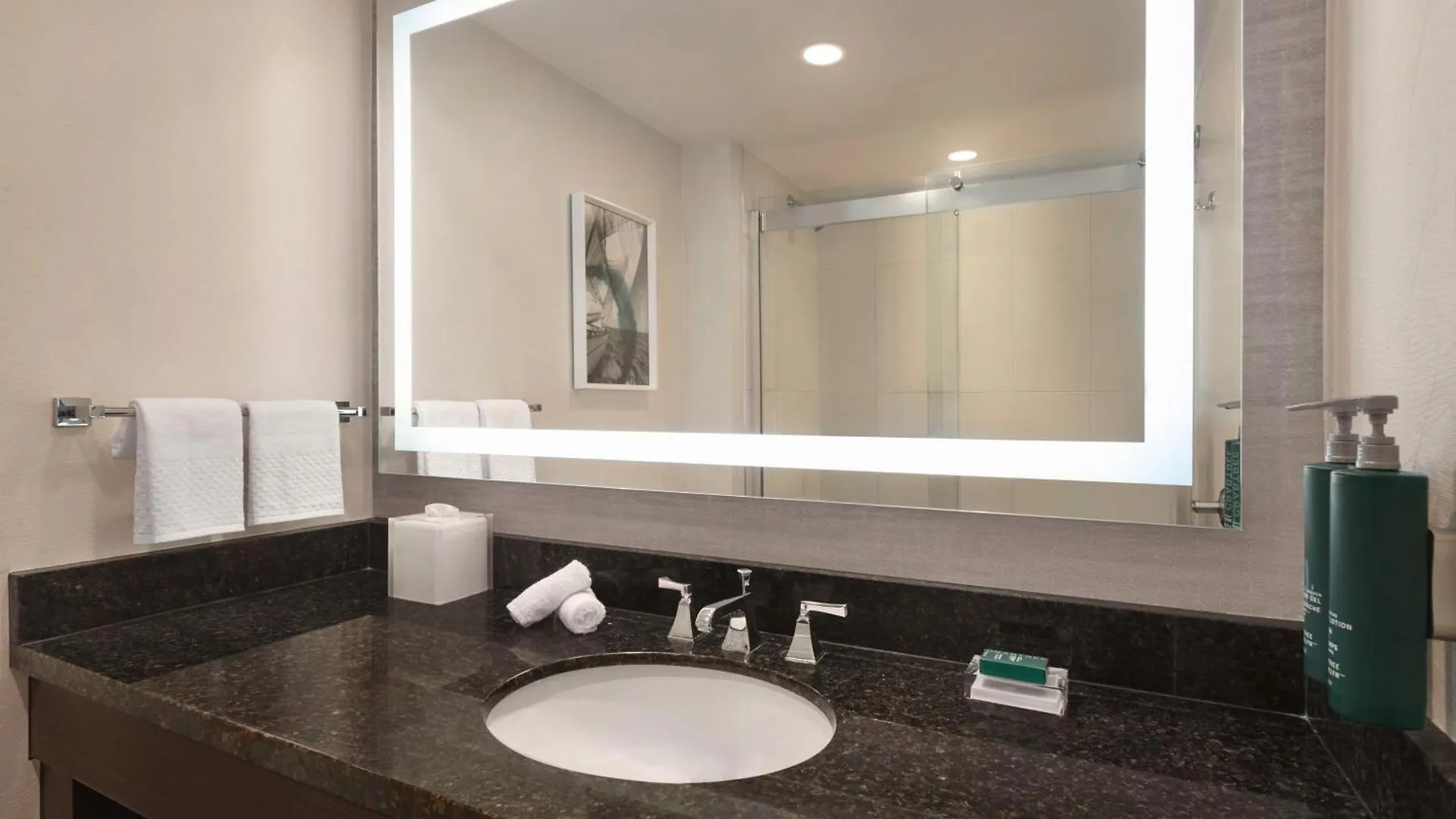 Hilton Tampa Downtown Hotel