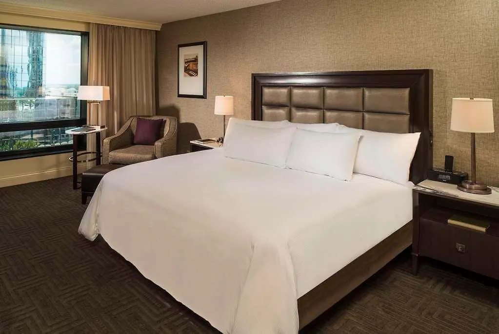 Hotel Hilton Tampa Downtown USA