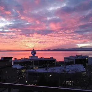 https://top-floor-water-view-oasis-near-space-needle-waterfront.seattlehotelsites.com