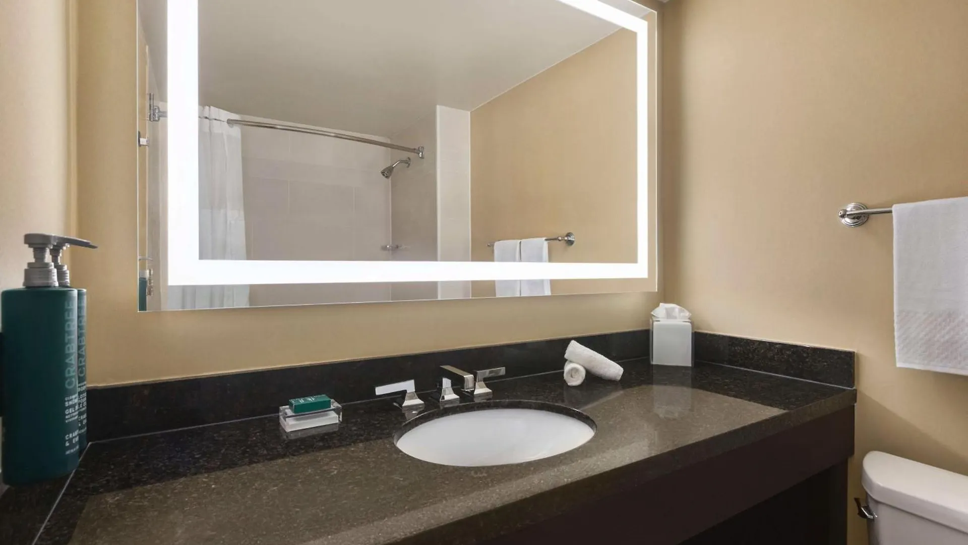Hilton Tampa Downtown Hotel 4*,  Verenigde Staten