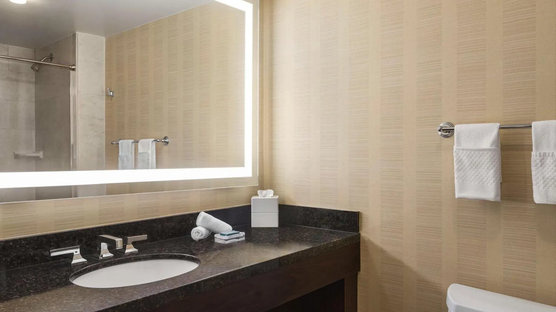 Hilton Tampa Downtown Hotel