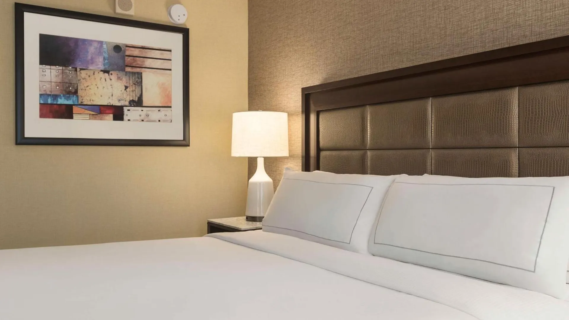 Hilton Tampa Downtown Hotel