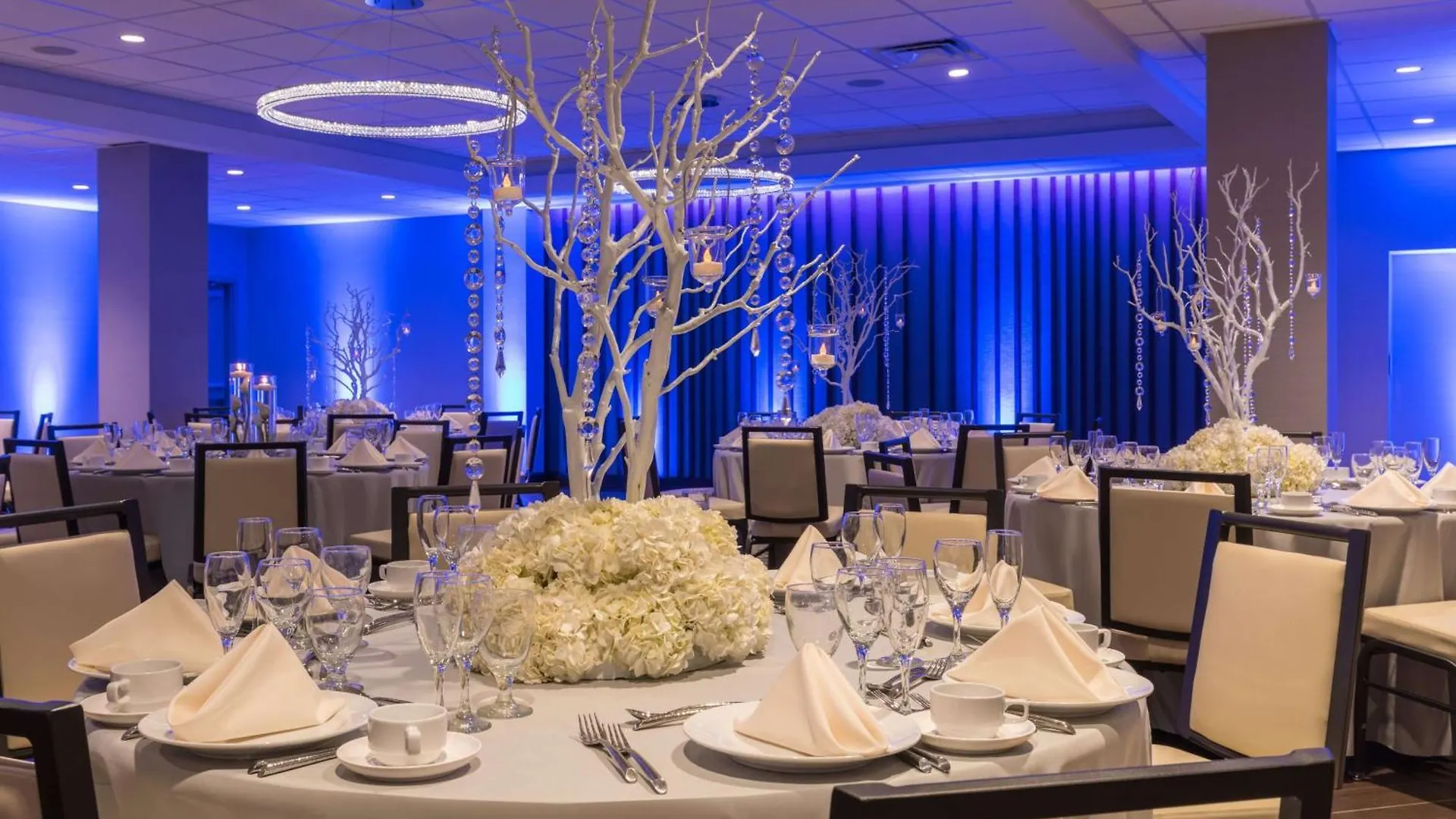 ****  Hilton Tampa Downtown Hotel Verenigde Staten
